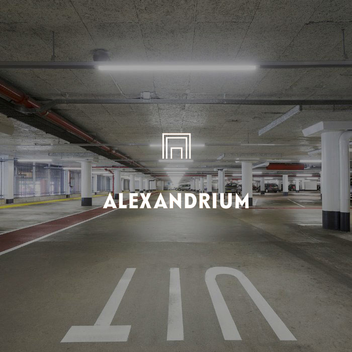 Alexandrium